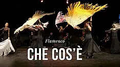 Che cos'è il flamenco Che cos'è il flamenco