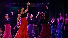 spettacoli flamenco